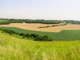Untitled Panorama1