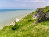 DSC7446