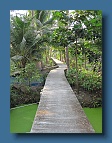 IMG_3539