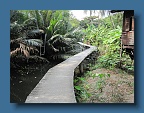 IMG_3570